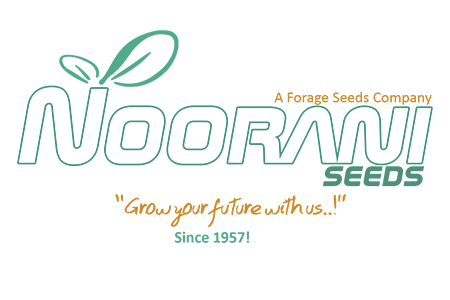 Noorani Seeds